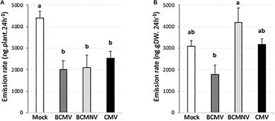 An Innate Preference of Bumblebees for Volatile Organic Compounds Emitted by Phaseolus vulgaris Plants Infected With Three Different Viruses